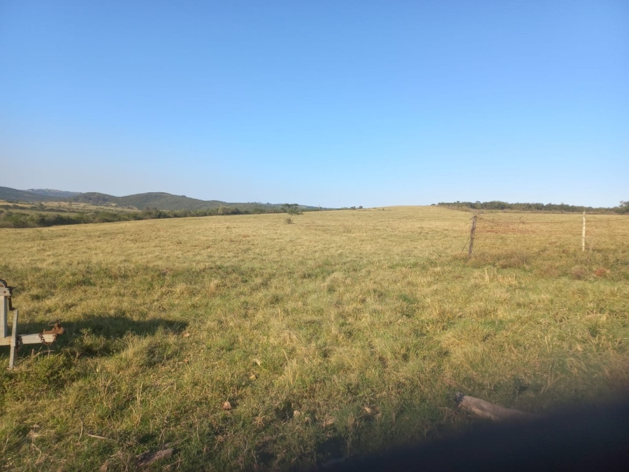 Commercial Property for Sale in Komga Rural Eastern Cape